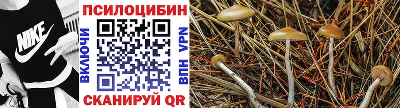 Галлюциногенные грибы GOLDEN TEACHER  Кизел 